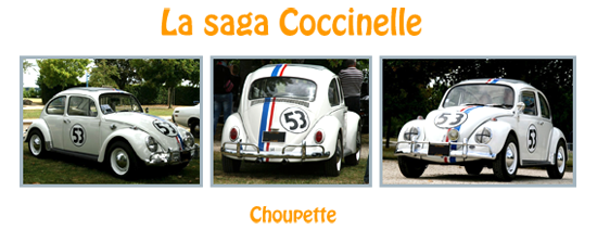 Coccinelle Choupette