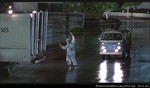 RVLF - BTTF