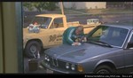 RVLF - BTTF