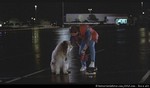 RVLF - BTTF