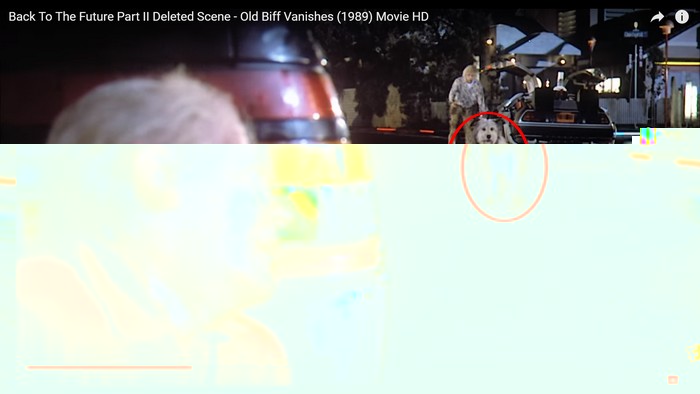 Chien vieux Biff 2.jpg